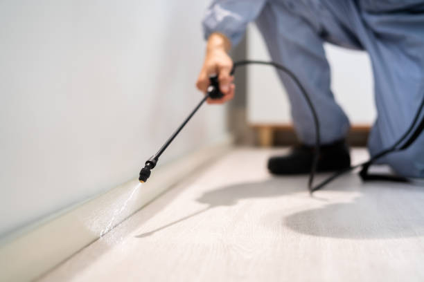 Licensed Termite Control service in Sherwood Manor, CT - Nex Pest Control