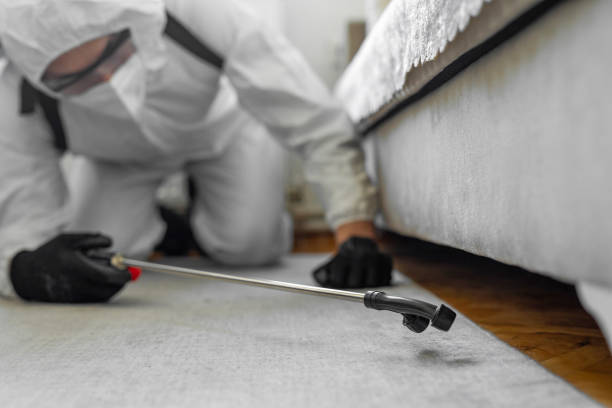 Professional Termite Control technician working in Sherwood Manor, CT