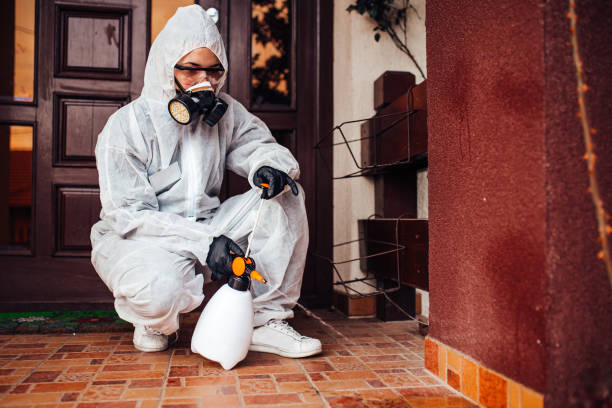 Reliable Termite Control contractor in Sherwood Manor, CT by Nex Pest Control