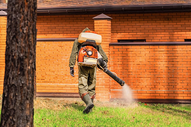 Trusted Termite Control service in Sherwood Manor, CT - Nex Pest Control